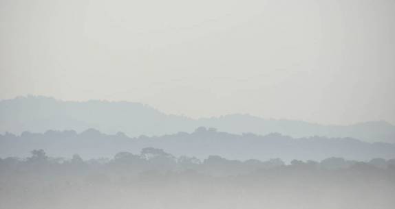A neblina dá ares de mistério ao Parque Nacional Corcovado, na Península de Osa, no sul da Costa Rica